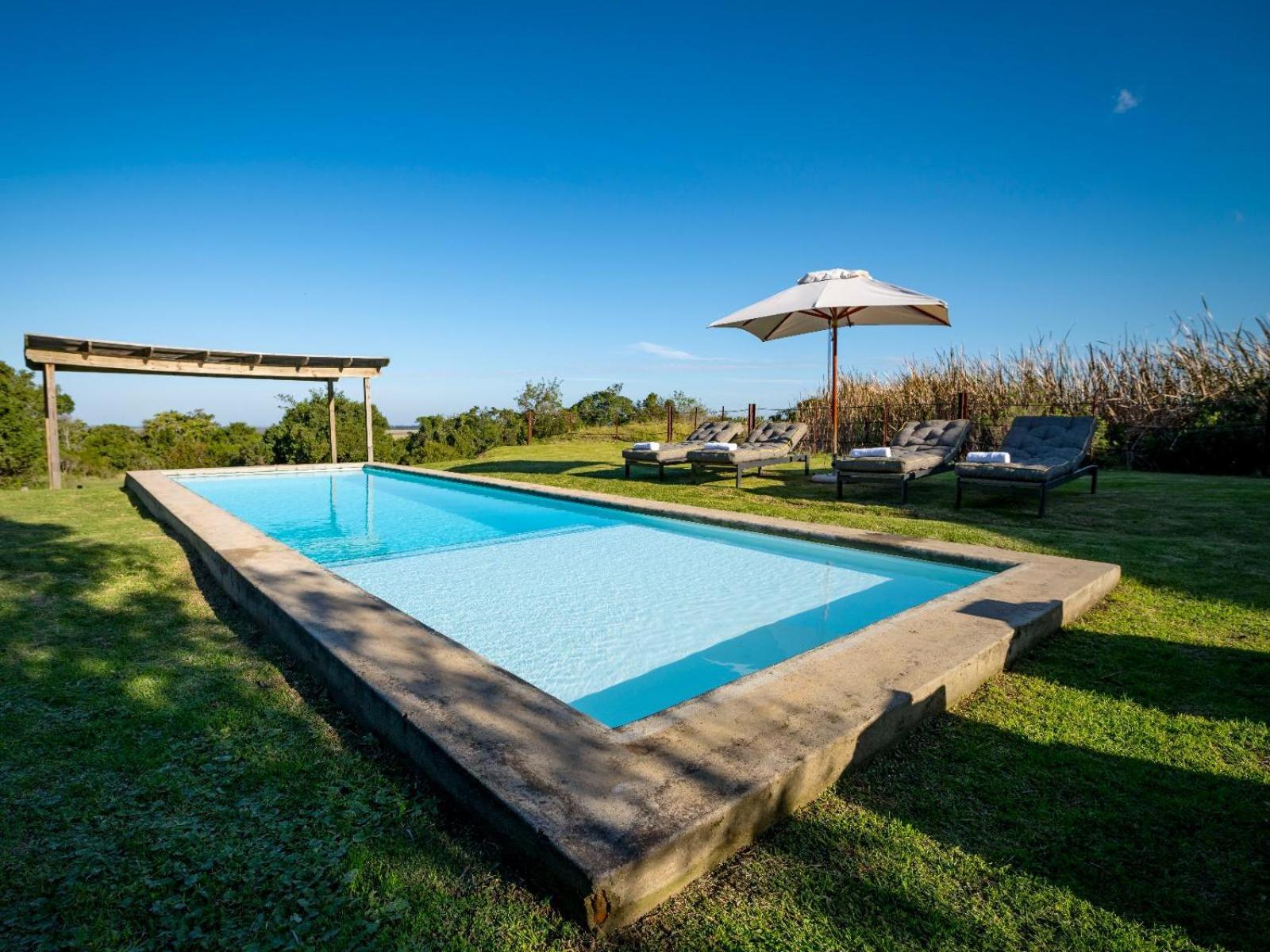 Belle Balance Bush Lodge Plettenberg Bay Ngoại thất bức ảnh