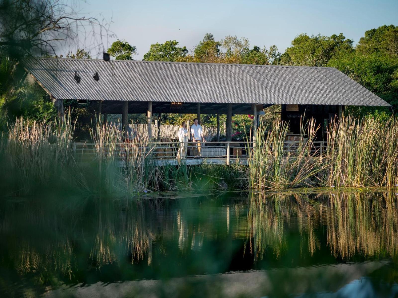 Belle Balance Bush Lodge Plettenberg Bay Ngoại thất bức ảnh